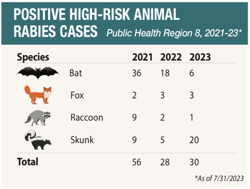 Rabies outbreak grows in South Texas; skunk found in Gonzales The